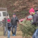 В Германия се състезават по хвърляне на коледни елхи 