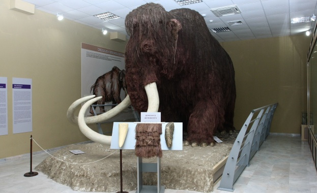 Екомузей с аквариум продължава да е експозицията с най-голям брой посетители и през 2018 година