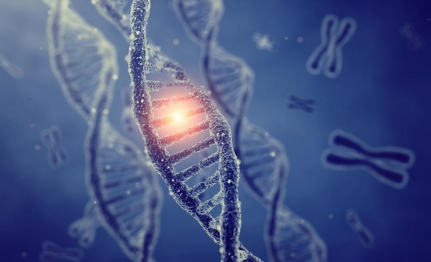 Разгадаха функциите на най-ранните гени на живота