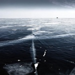 Методът „Вим Хоф”