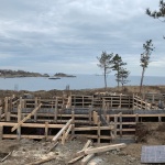 Европа подхваща скандалите с „Алепу“ и „Арапя“