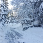 Удължиха до понеделник ограничението за движение на тежкотоварни автомобили през прохода Превала