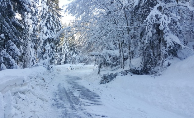 Възстановено е движението на тежкотоварни автомобили над 12 т и