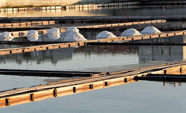 Учени от БАН: Лечебното поморийско езеро умира