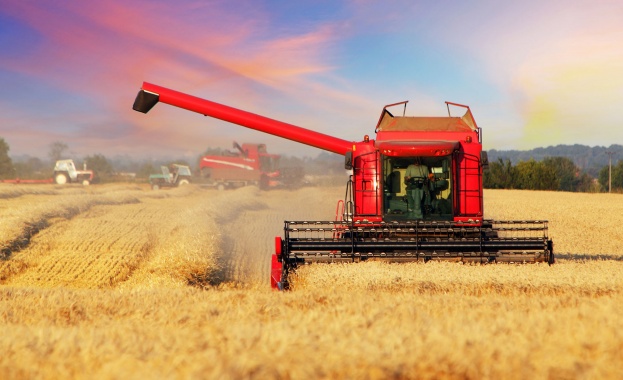 Родното земеделие работи на загуба За това сигнализират зърнопроизводители Те