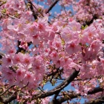 Не задържай това, което....