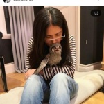 Салма Хайек осинови сова