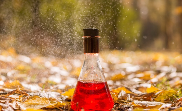 Откриха „еликсир на безсмъртието“ в древна китайска гробница