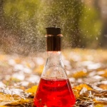 Откриха „еликсир на безсмъртието“ в древна китайска гробница