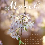 Предстоящи събития в страната на 23 март 