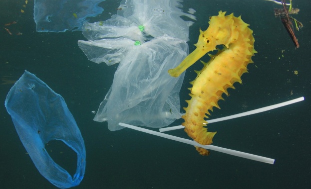 През 2050 г. в морето ще плуват повече пластмасови предмети, отколкото риби 