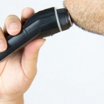 18 март 1931 г. - Първата практична електрическа самобръсначка излиза на пазара