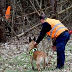 Китай клонира най-доброто си полицейско куче