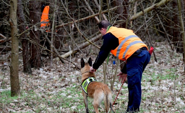 Китай клонира най-доброто си полицейско куче
