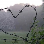 Една стара лечителка казала на душата