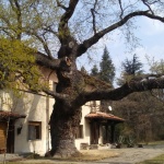 Отварят за посещения двореца "Кричим" наесен 