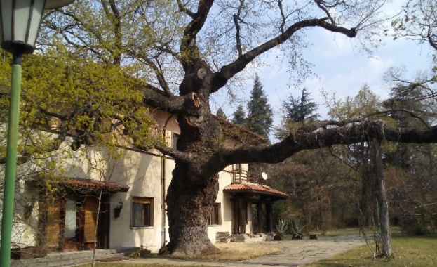 Отварят за посещения двореца "Кричим" наесен 