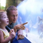 След години жестоко ще съжалявате за тези 6 неща