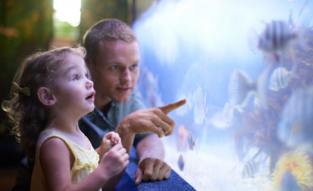 След години жестоко ще съжалявате за тези 6 неща