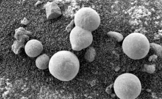 Истината за „гъбите“, растящи на Марс