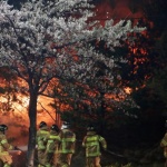 Горските пожари в Сибир се разрастват 