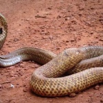 "Каквото се нарече на този ден, то ще бъде" 