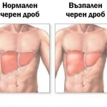 23 октомври – Световен ден на спирометрията