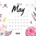 Предстоящи събития в страната за 5 май