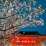 Камерата на Huawei P30 lite – 48-мегапикселов поглед към реалността, дори в HDR