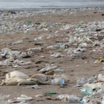 Близо 180 страни ще се борят срещу замърсяването с пластмаси