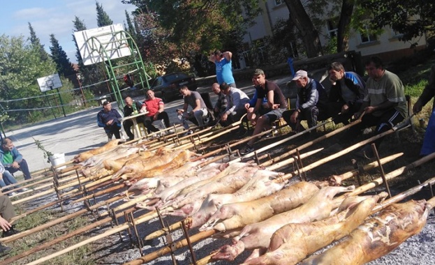 1000 агнета за Гергьовден в село Паталеница 