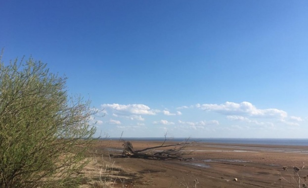Река Волга пресъхва заради топлата пролет в Русия