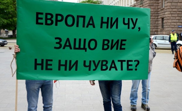 Малките ВЕИ-та поискаха оставката на Теменужка Петкова и шефа на КЕВР