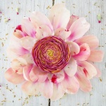 Родени на 8 май