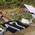 Последните най-тежки катастрофи с автобуси у нас