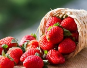 Вкусни и полезни: Защо ягодите са суперхрана за тялото и мозъка