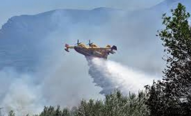 Пожар гори близо до селище в Гърция