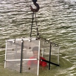 Индийски маг изчезна в река след номер като на Худини