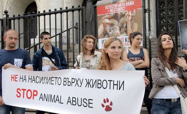Протест пред МС срещу убиването на животни 