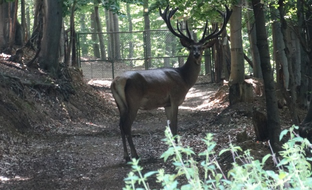 Наши комплексни проверки водят до отстраняването на корумпирани директори на