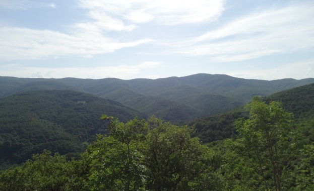 11 нелегални мигранти са заловени в ловно стопанство Еледжик край