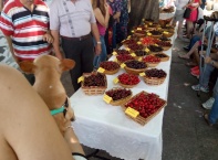 Празник на черешата в Кюстендил 2019