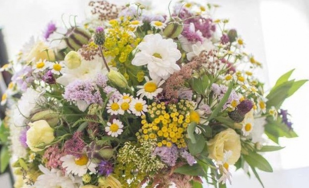 Нощта на билките 