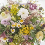 Нощта на билките 