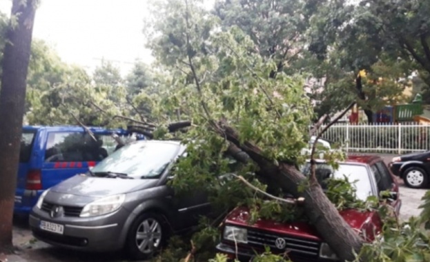 Нормализира се обстановка в Пловдив след вчерашната буря 