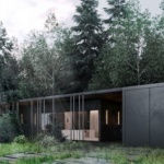 Черна вила се крие в гори край Москва