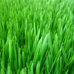 Не сравнявайтe...