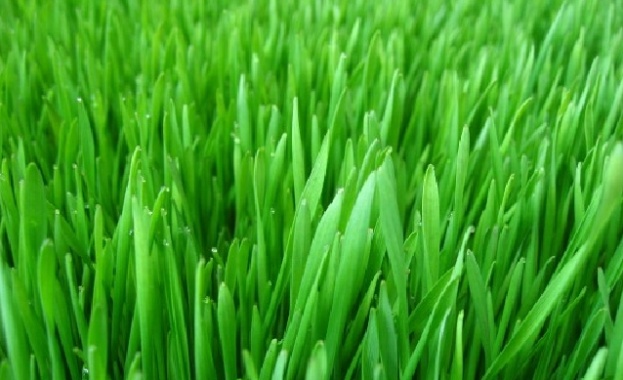 Не сравнявайтe...