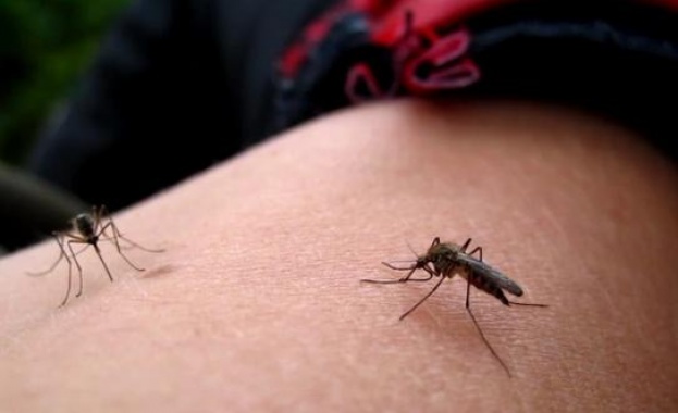 Стартира обработка против комари на територията на район Нови Искър