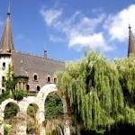 СИК-аджийски бос омъжи дъщеря си в замъка Равадиново*